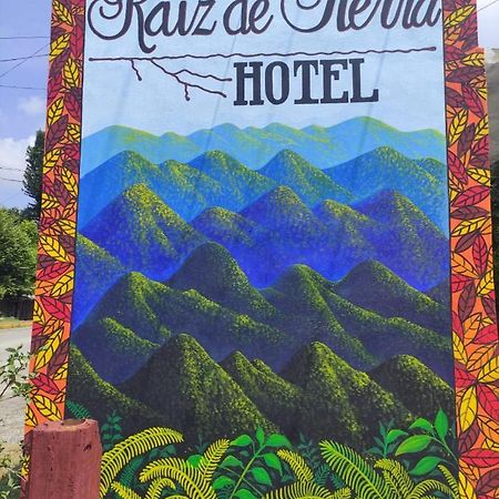 Hotel Raiz De Sierra Matlapa Kültér fotó