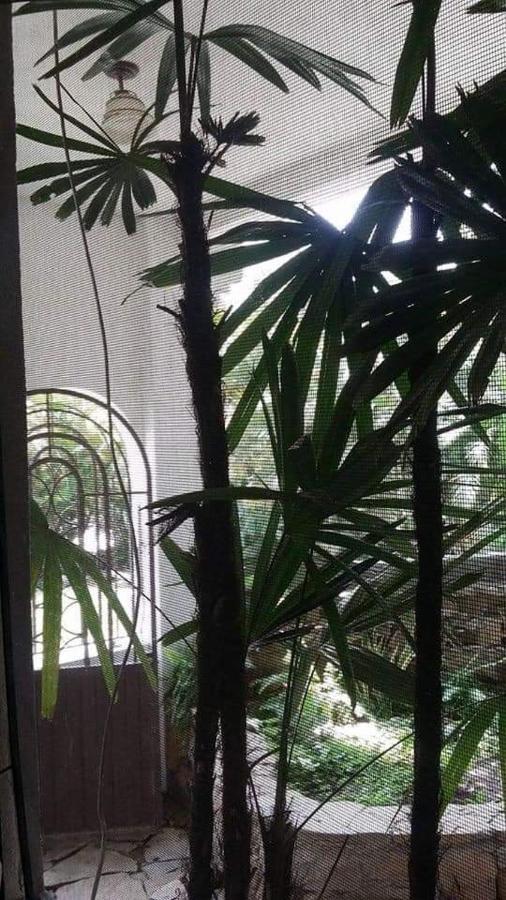 Hotel Raiz De Sierra Matlapa Kültér fotó