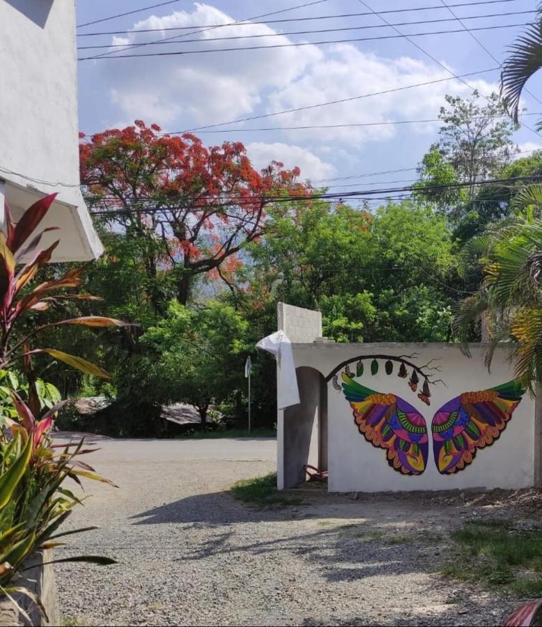 Hotel Raiz De Sierra Matlapa Kültér fotó